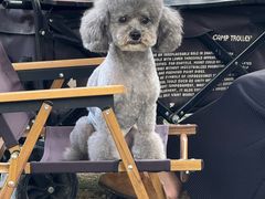 -J Create城市露营咖啡·简餐·宠物(上海动物园店)