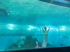 -苏州海洋馆