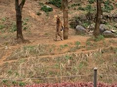 -杭州野生动物世界