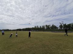 -春花秋色城市公园