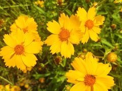 -盘龙城国家考古遗址公园