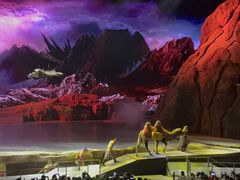 -华夏文旅海洋公园