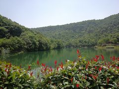 -桃花岭景区