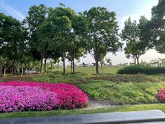 -上海山野camping·户外天幕烧烤·团建拓展营地