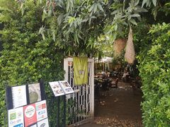 -Fern Forest Cafe