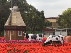 -大宁灵石公园西门票处