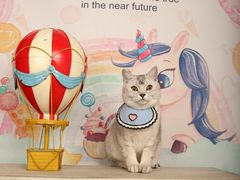 -超宠爱宠物摄影-Super pet