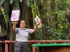 -新加坡飞禽公园