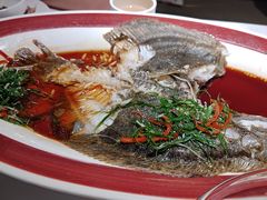 -院里寻菜·精致庭院菜(观沙岭店)