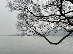 -浙江省博物馆(孤山馆区)