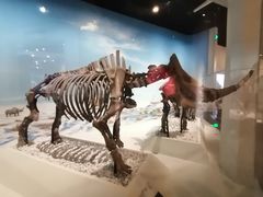 -国家自然博物馆