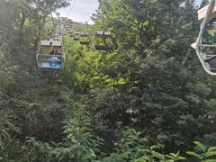 -富斯特索道