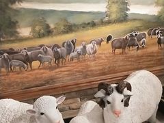 -快乐小羊·内蒙牛羊肉火锅(流花中心店)