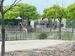 -上海野生动物园