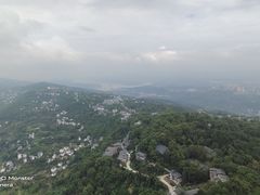 -大金鹰园
