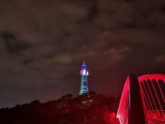 -金鸡山公园