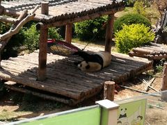 -大连森林动物园