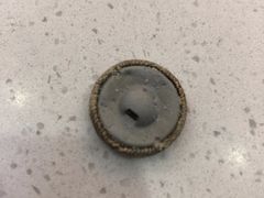 -美联众合动物医院·伴可分院·内科中心医院