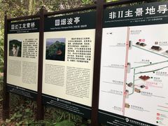 -亚龙湾热带天堂森林公园
