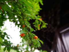 -安方塔