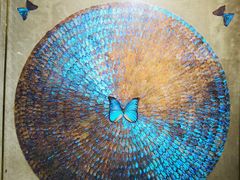 -上海昆虫博物馆