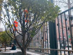 -大小咖啡 BigSmallCoffee(麦子店)