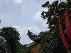 -宝通禅寺