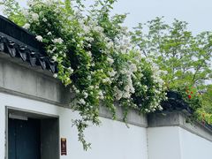 -沧浪亭