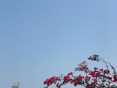 -巨鹏飞梦幻海岸