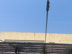 -名骏车业(园区星明店)