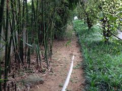 -广州神农草堂中医药博物馆