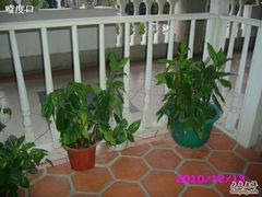 雪山房-娜娜度假小旅馆