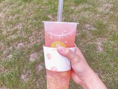 -树夏(建设路店)