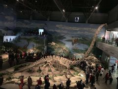 -自贡恐龙博物馆