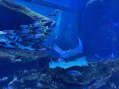 -海合安武汉极地海洋公园