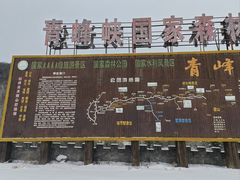 -青峰峡国家森林公园