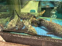 -聚福宝合苑食府(南头镇店)