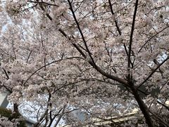 -七宝老街-闵行市民文化广场