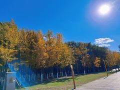 -长白岛森林公园