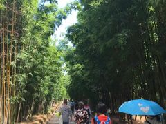 -蝴蝶泉公园