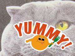 -小龙坎老火锅(工体店)