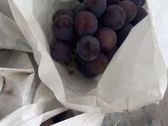 -马陆小张葡萄园农家乐