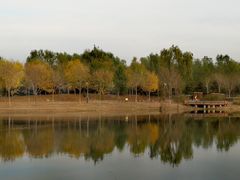 -东郊湿地公园