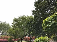 -上海市杨浦区中心医院安图分部-停车场
