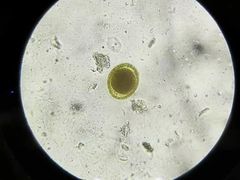 -佳雯宠物医院(金华南路分院)