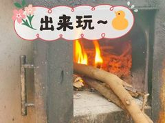 -前小桔亲子创意农场·草莓采摘·露营烧烤