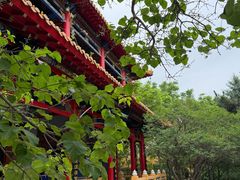 -哈尔滨极乐寺