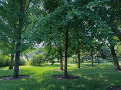 -国家植物园南园