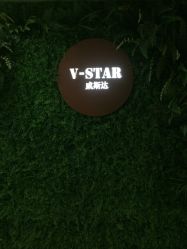 -V-STAR威斯达•高级私人定制