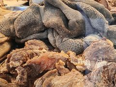 -洪记白水羊头(天坛店)